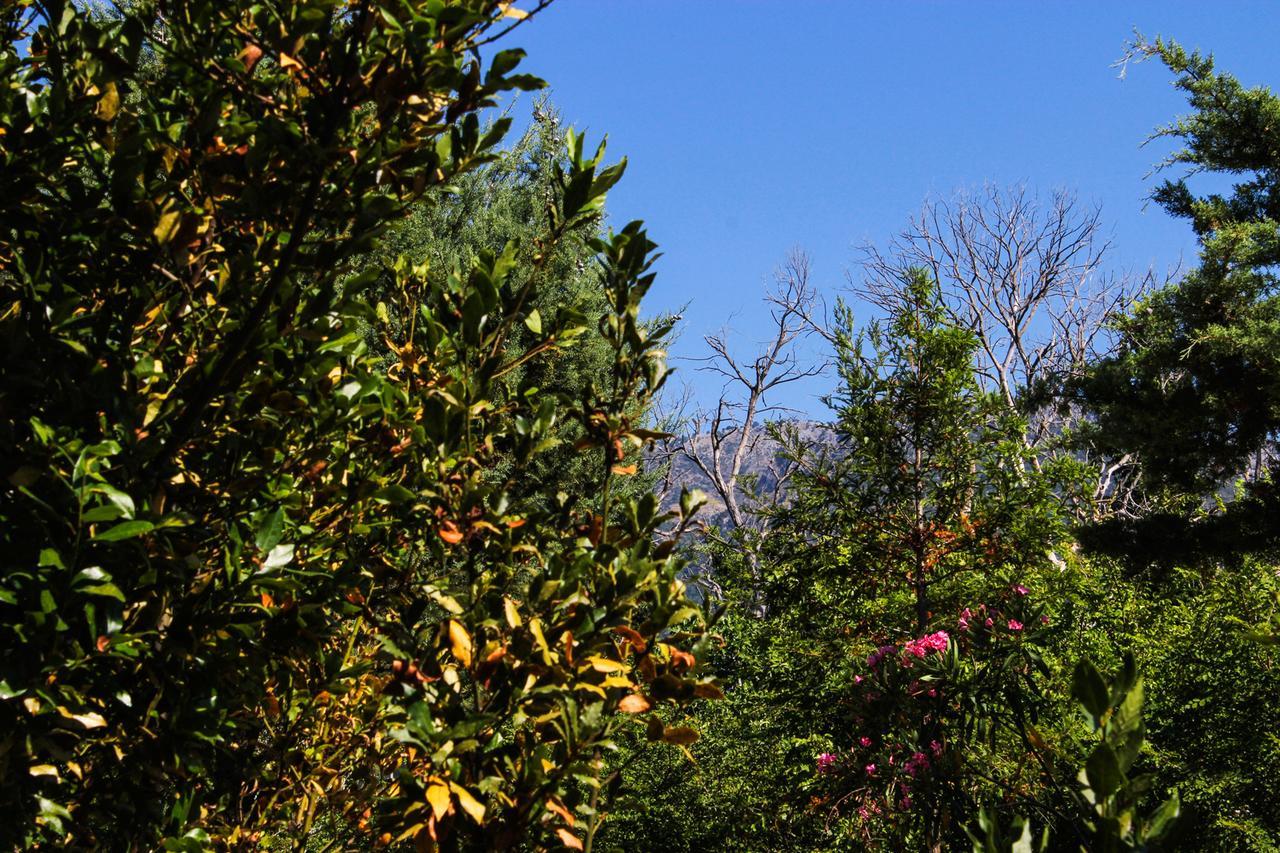 Nireas Resort Corfu Acharavi  Exterior foto